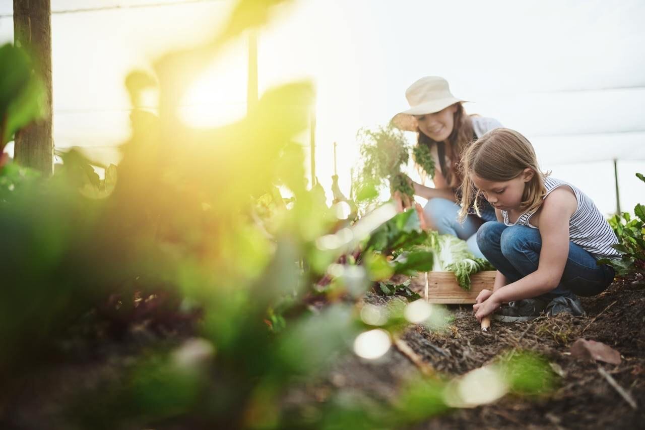 Коттеджный поселок Усадьбы Большие Брусяны - фото 2