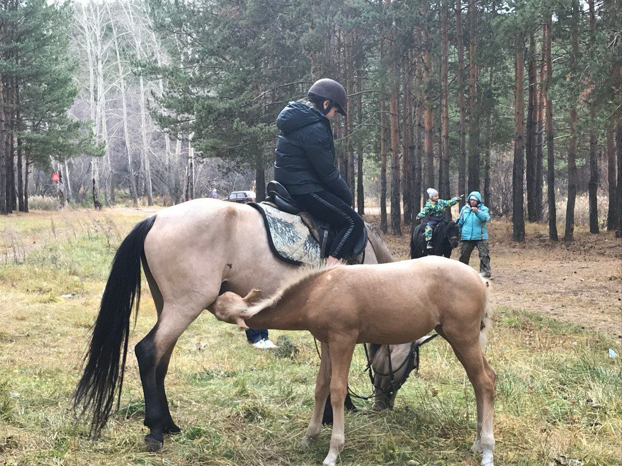 Коттеджный поселок Усадьбы Большие Брусяны - фото 3