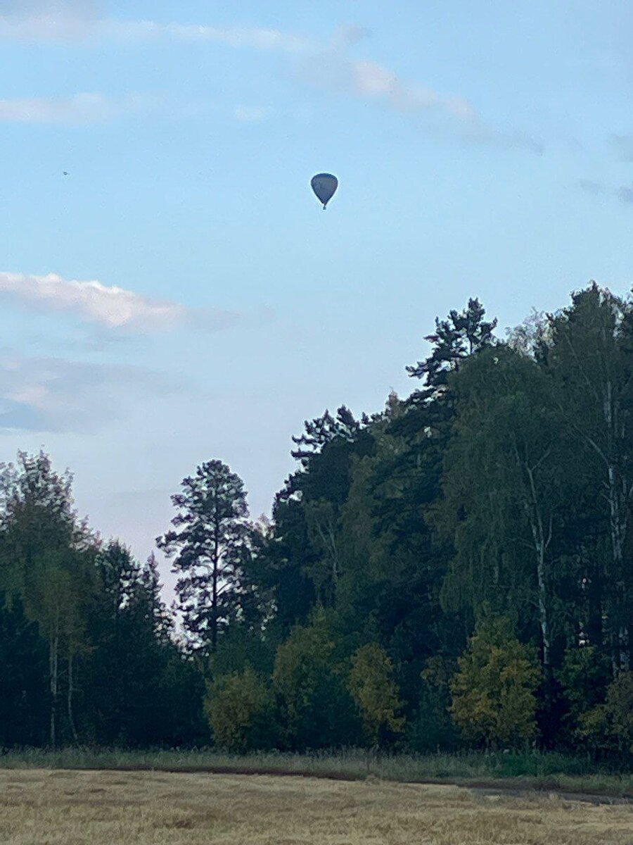 Коттеджный поселок Усадьбы Большие Брусяны - фото 4